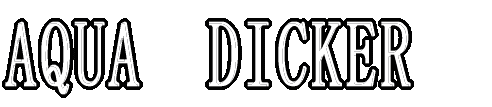 ���𗧂��A�C�e��
